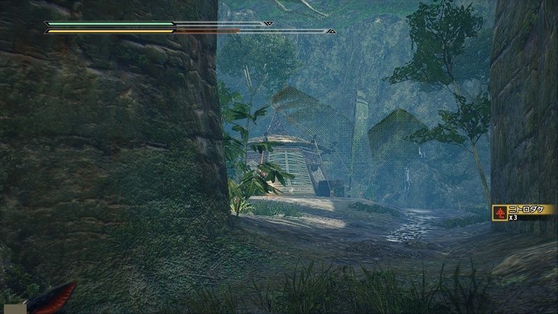 密林のサブキャンプ1