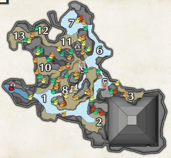 ヒトダマドリ（上層）