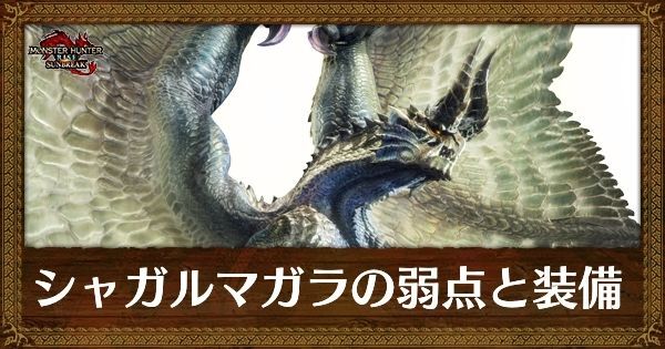 シャガルマガラの弱点と装備