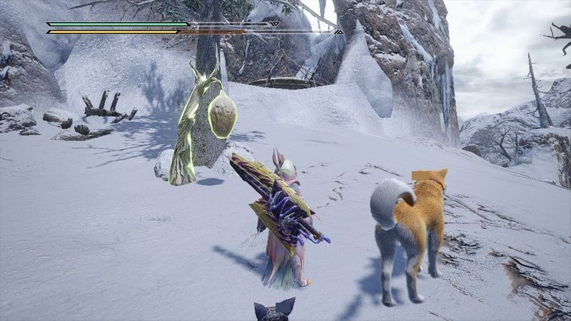 寒冷群島のサブキャンプ2