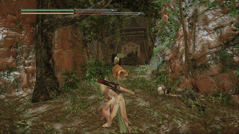 水没林のサブキャンプ