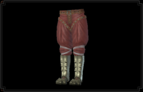 リノブロ装備の脚