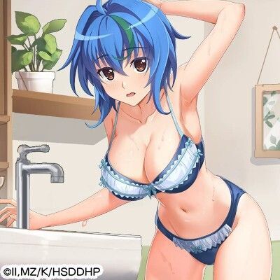 ハイスクールD×D Operation paradise infinity