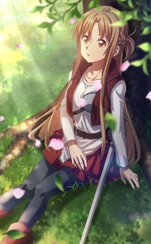 閃光の剣士の思い