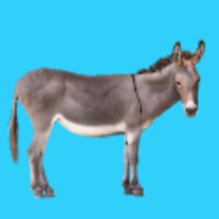 ロバの置き方 Dtb攻略wiki 虎の巻 Gamerch