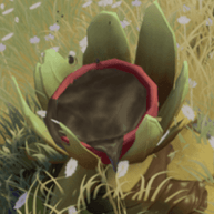 オイルフラワー