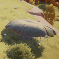 ピカピカキノコ