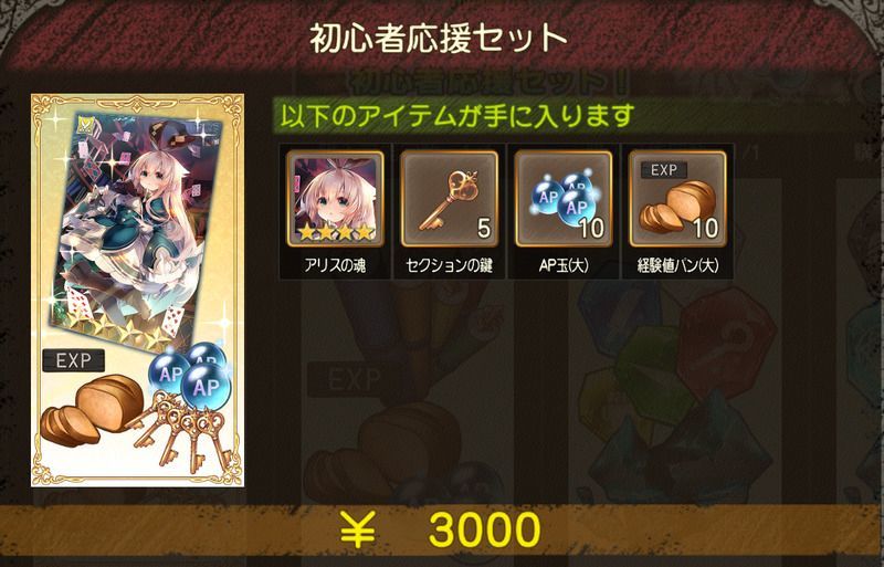 初心者応援セット