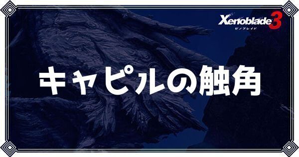 キャピルの触角