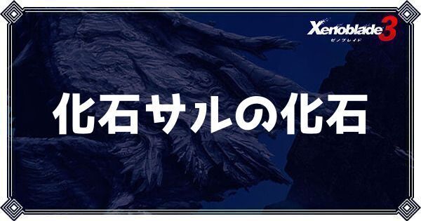 化石サルの化石