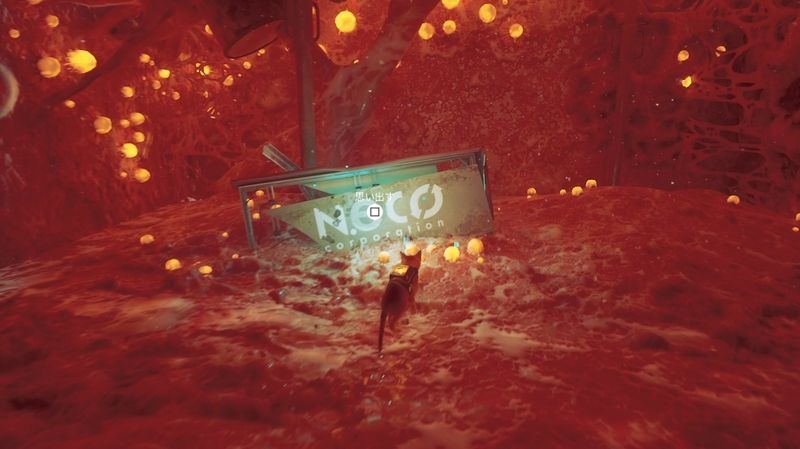 メモリーの場所