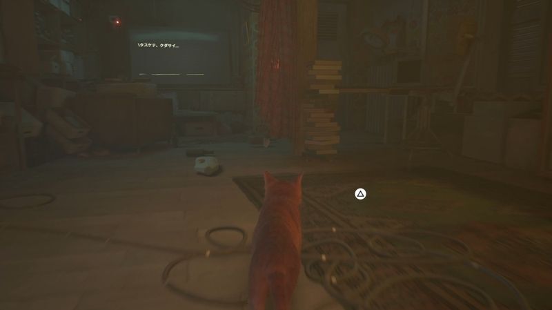 カーペットで爪とぎ