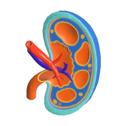 だいめんもけいK