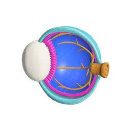 だいめんもけいE