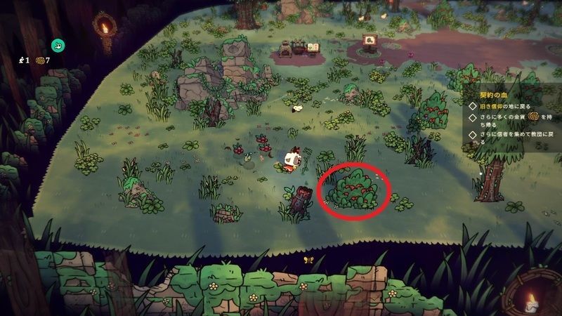 ベリーがおすすめ