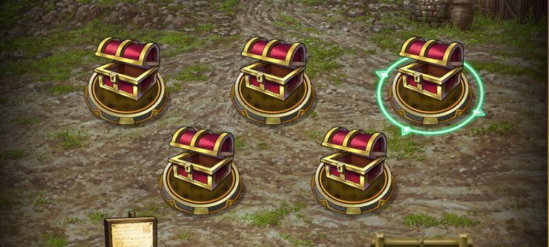 ネコの出現場所