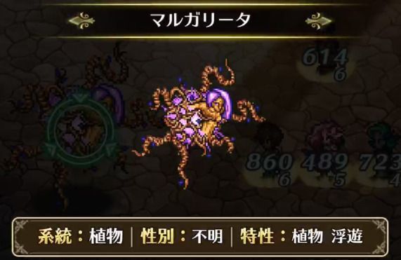 マルガリータ