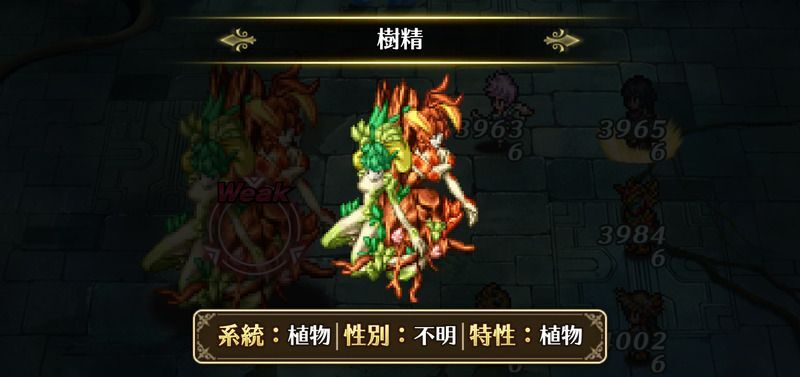 樹精