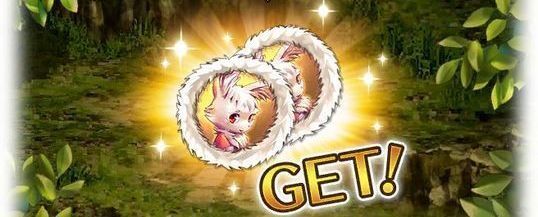 イベントクエストでバーニィメダルを集める