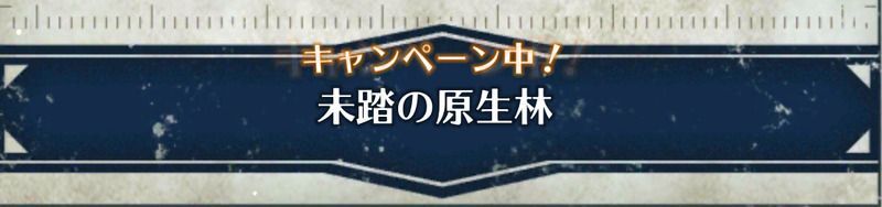 未踏の原生林