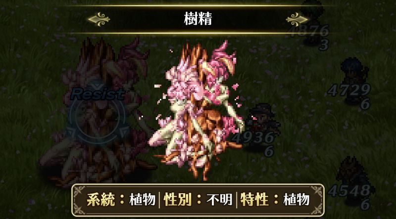 樹精