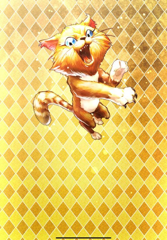 マコ