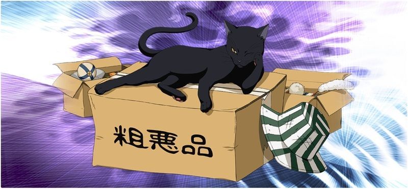 四楓院 夜一 イラスト BLEACH 四楓院 夜一 フィギュア ガレージ