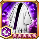 隊長羽織★5+【心】