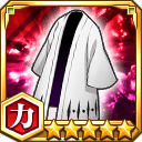 隊長羽織★5【力】