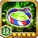 ミサンガ★5【技】