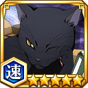 四楓院夜一（猫）★5【速】