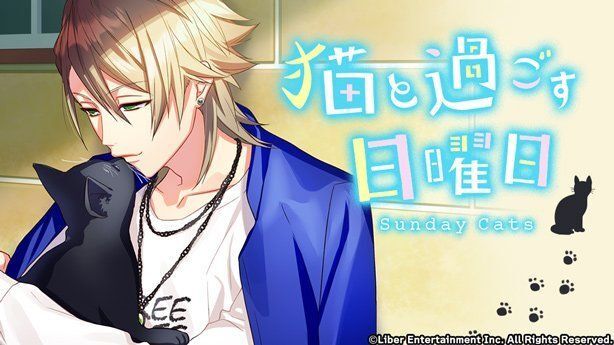 『猫と過ごす日曜日』