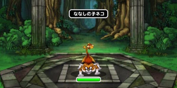 ななしの子ネコ