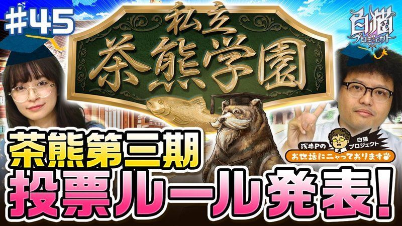 茶熊2017