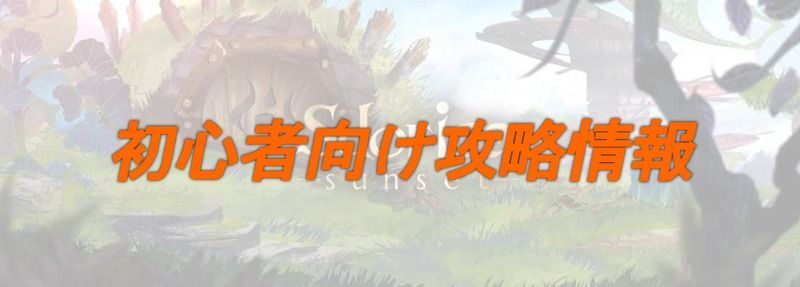 初心者向け攻略情報