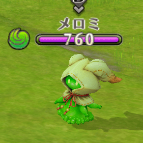 メロミ国境沿い(公国側)