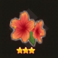 ビッグハイビスカス【陽】