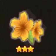 ビッグハイビスカス【暖】