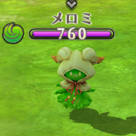 メロミ国境沿い(連邦側)