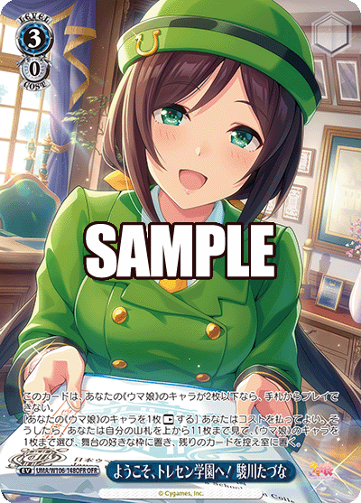 ようこそ、トレセン学園へ! 駿川たづな