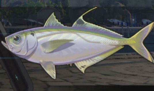 アステルコアジ