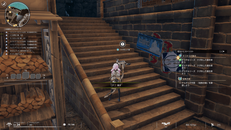 5匹目の猫の場所