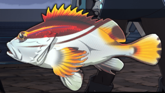 オオクジャクカサゴ