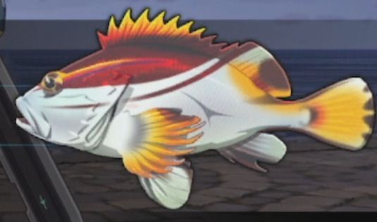 クジャクカサゴ