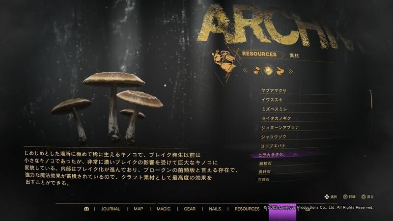 ヒラカサタケとは