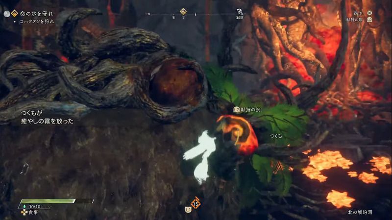 獣狩の腕が発動画面