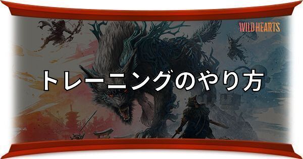 トレーニングのやり方