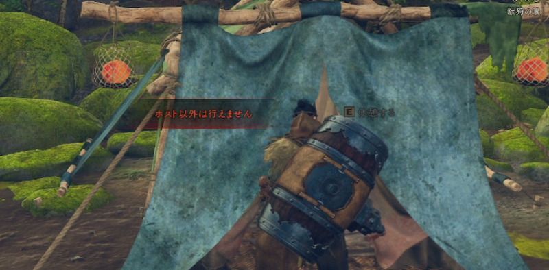 ホストのみが使用