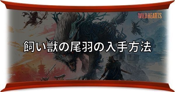 飼い獣の尾羽の入手方法