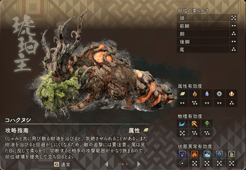 コハクヌシの基本情報